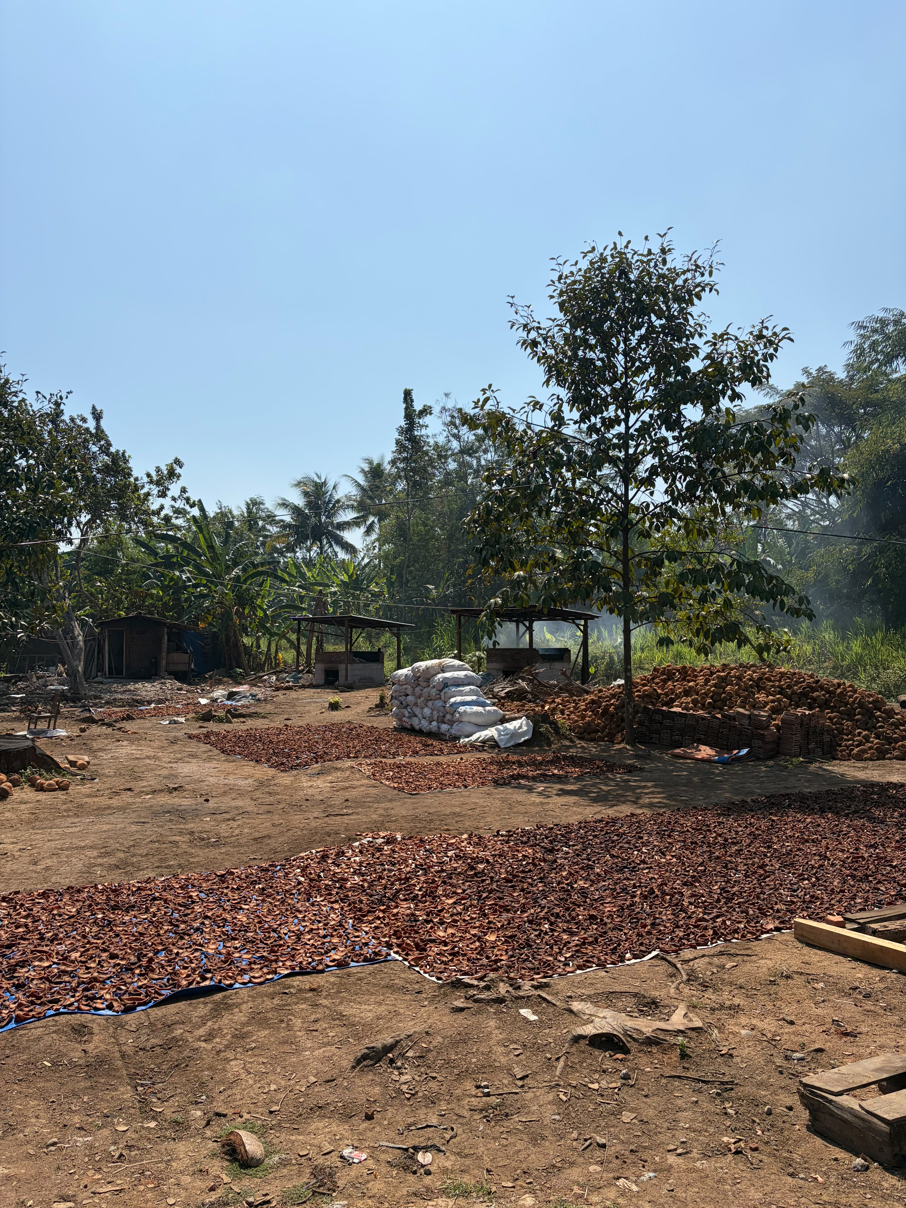 Global Optima Distribusi coconut processing activity