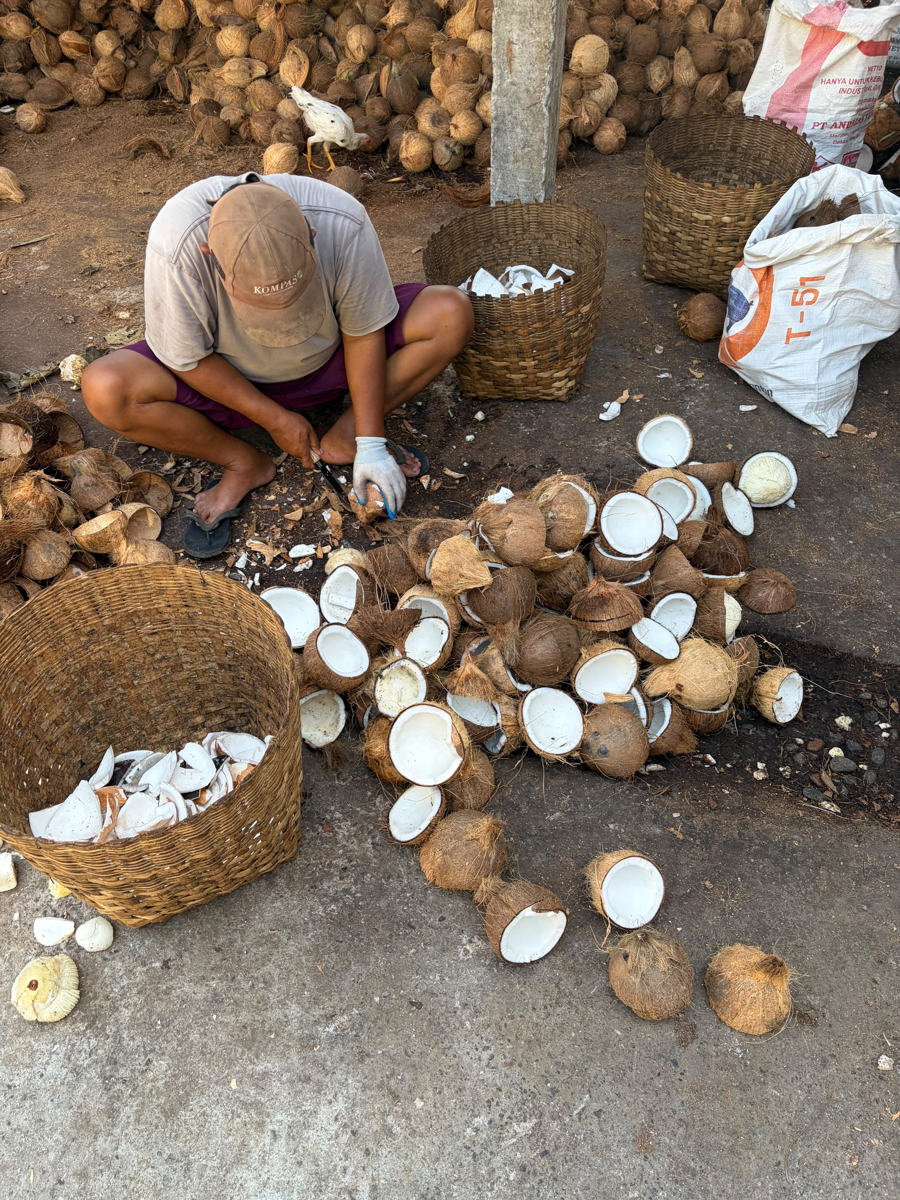Global Optima Distribusi coconut processing activity